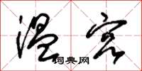 朱锡荣温宫草书怎么写