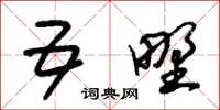 朱锡荣五野草书怎么写