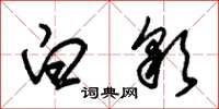 朱锡荣白彩草书怎么写