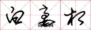 朱锡荣白毫相草书怎么写