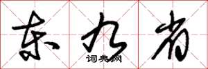 朱锡荣东九省草书怎么写