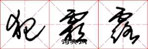 朱锡荣犯霜露草书怎么写