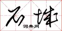 朱锡荣石城草书怎么写