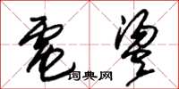 朱锡荣电烫草书怎么写