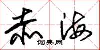 朱锡荣赤海草书怎么写
