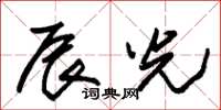 朱锡荣辰光草书怎么写