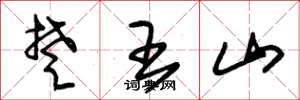 朱锡荣楚王山草书怎么写