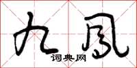 曾庆福九凤草书怎么写