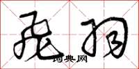 曾庆福飞羽草书怎么写