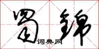 朱锡荣蜀锦草书怎么写