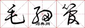 曾庆福毛细管草书怎么写