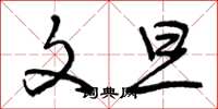 曾庆福文旦草书怎么写