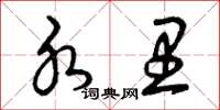 曾庆福水里草书怎么写