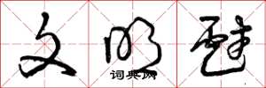 曾庆福文明戏草书怎么写