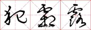 曾庆福犯霜露草书怎么写