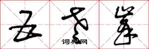 曾庆福五老峰草书怎么写