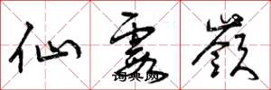 曾庆福仙霞岭草书怎么写