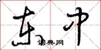 曾庆福东中草书怎么写