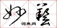 曾庆福妙艺草书怎么写