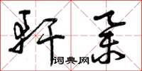 曾庆福轩举草书怎么写