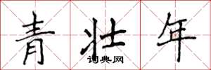 侯登峰青壮年楷书怎么写