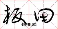 曾庆福板田草书怎么写
