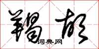 朱锡荣羯胡草书怎么写