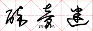 朱锡荣醉梦迷草书怎么写