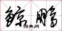 朱锡荣鲸鹏草书怎么写