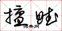 朱锡荣擅赋草书怎么写