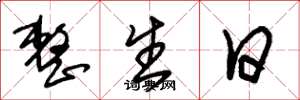 朱锡荣整生日草书怎么写