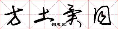 朱锡荣方土异同草书怎么写