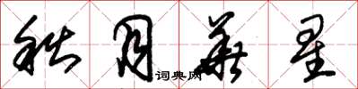朱锡荣秋月华星草书怎么写