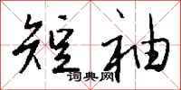 钱沛云短袖行书怎么写