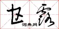 曾庆福甘露草书怎么写