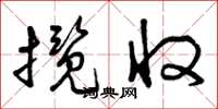 曾庆福揽收草书怎么写