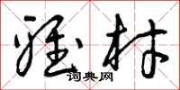 曾庆福雅材草书怎么写