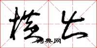 曾庆福横出草书怎么写