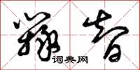 曾庆福辩智草书怎么写