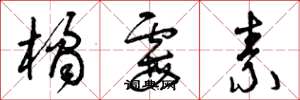 曾庆福橘霉素草书怎么写