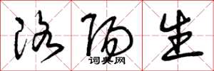 曾庆福洛阳生草书怎么写