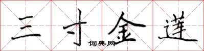 侯登峰三寸金莲楷书怎么写