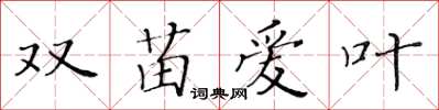 黄华生双苗爱叶楷书怎么写