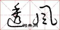 曾庆福透风草书怎么写