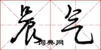 曾庆福晨气草书怎么写