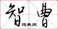 钱沛云智曹行书怎么写