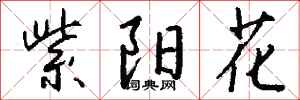 钱沛云紫阳花行书怎么写