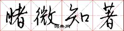 钱沛云睹微知著行书怎么写