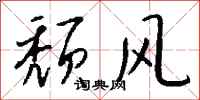 钱沛云颓风行书怎么写