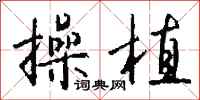 钱沛云操植行书怎么写
